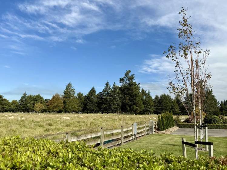 75 Frasers Road Tinwald_37