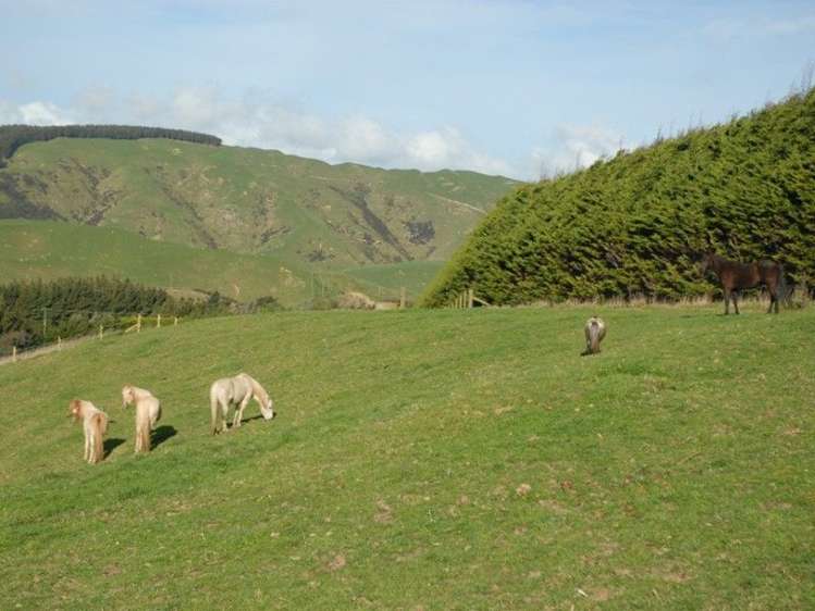 51 Coroglen Rise Pukerua Bay_4