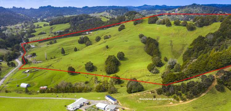 427 Upper Waiwera Road Puhoi_11