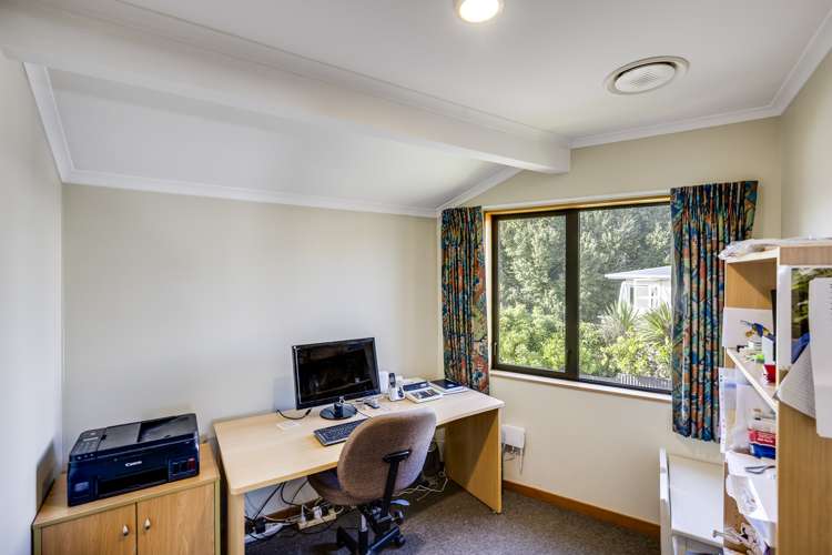 19a Roslyn Road Bluff Hill_13