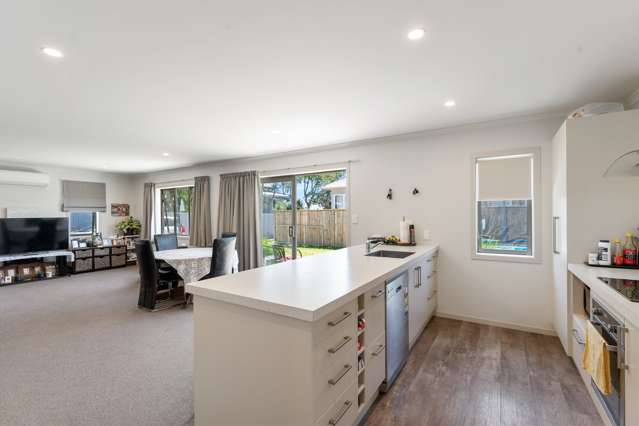 12a Guy Avenue Levin_2