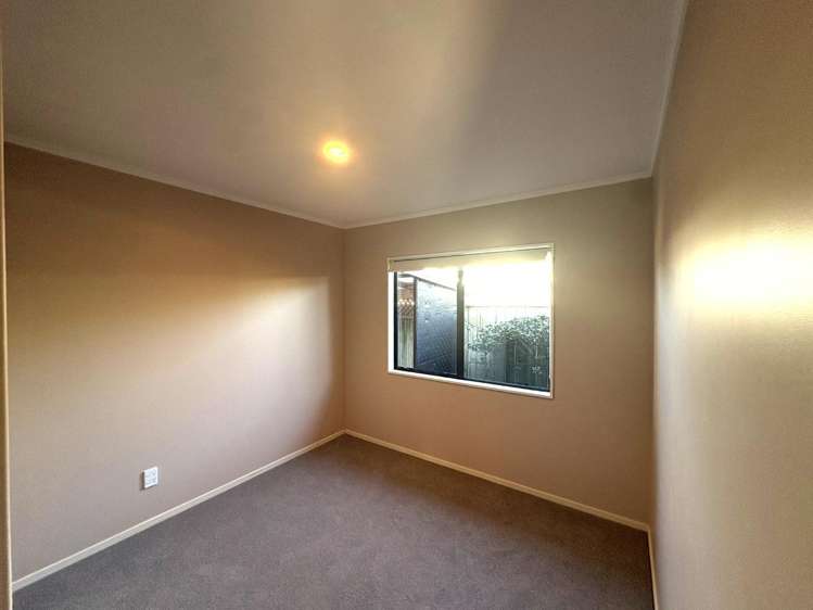 111a Avondale Road Greenmeadows_8
