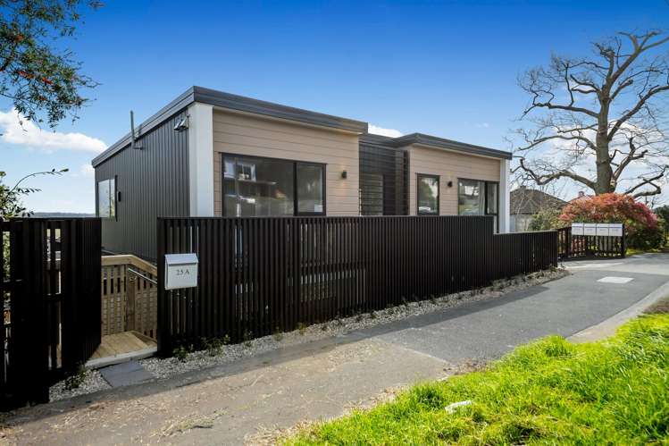 25A Hadfield Avenue Waterview_18
