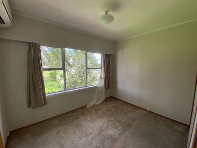 18 Williams Avenue Pakuranga_4