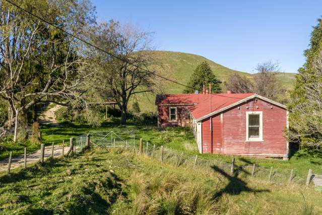 593A Kaka Amu Road Masterton_1