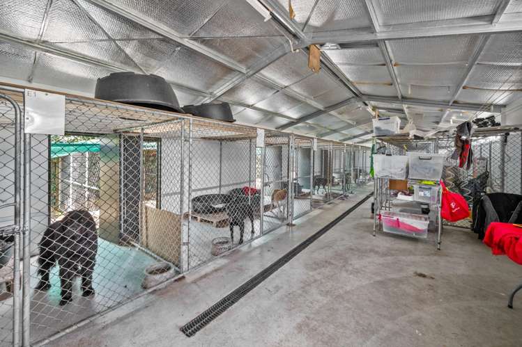 1981 Omakau-Chatto Creek Road Alexandra_20