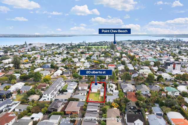 20 Alberta Street Point Chevalier_2