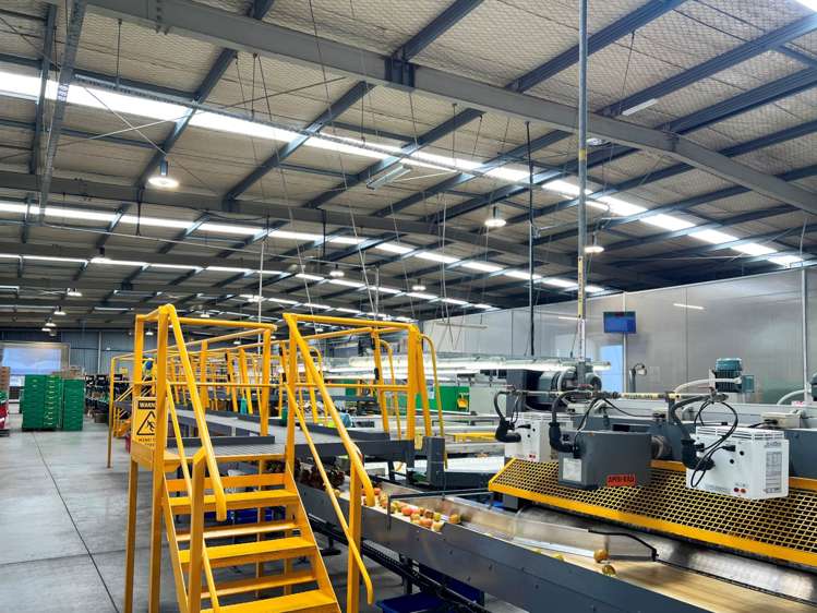 Address withheld Favona_5