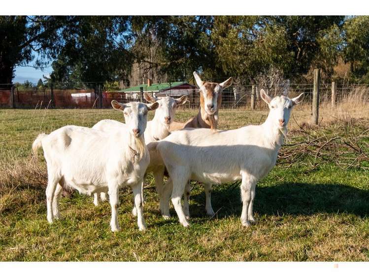 32 Willowbridge Settlement Road Waimate_31