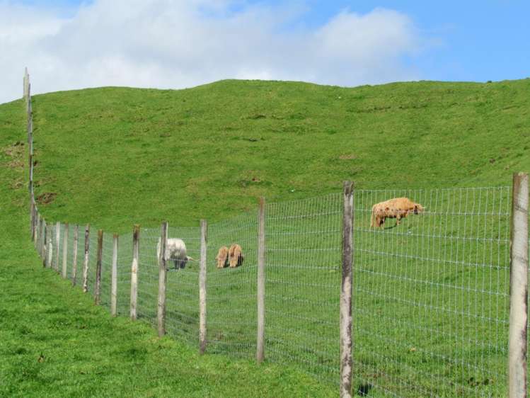 1840 Manawahe Road Manawahe_7