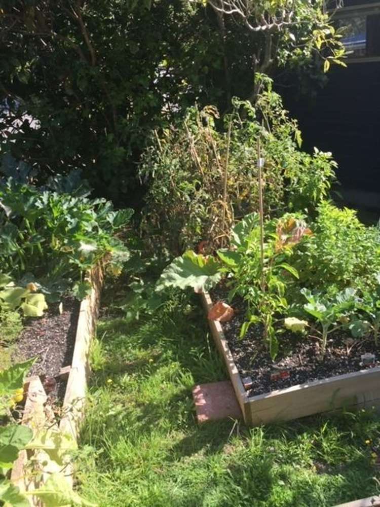 12 Florio Terrace Tawa_18