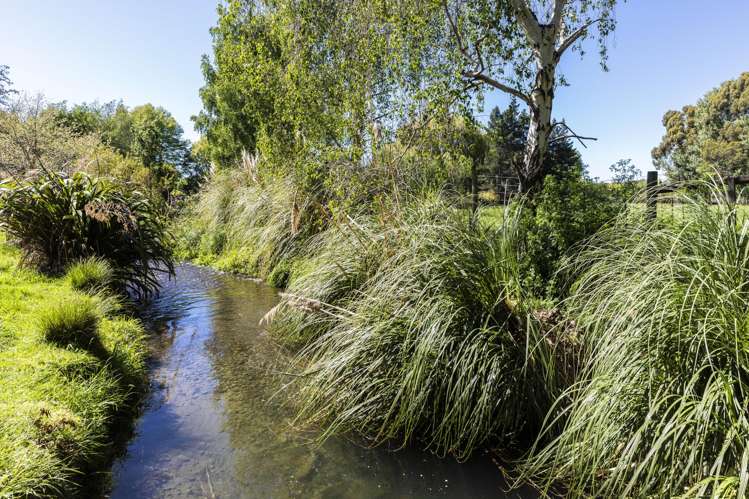 303 Mill Road Ohoka_38