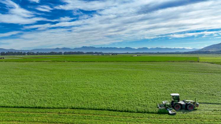 104 Irthing Street Castlerock_15