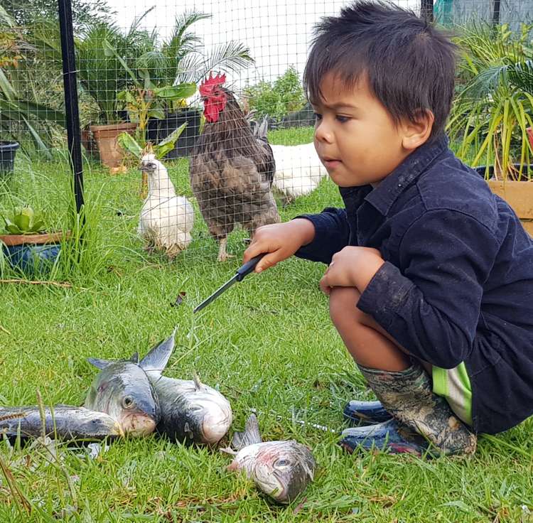 572a Pahi Road Paparoa_16