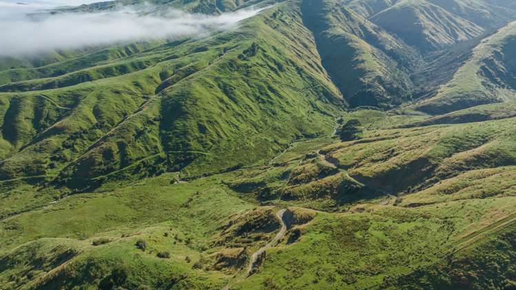 1311 Pahiatua Pongaroa Road Pahiatua_5