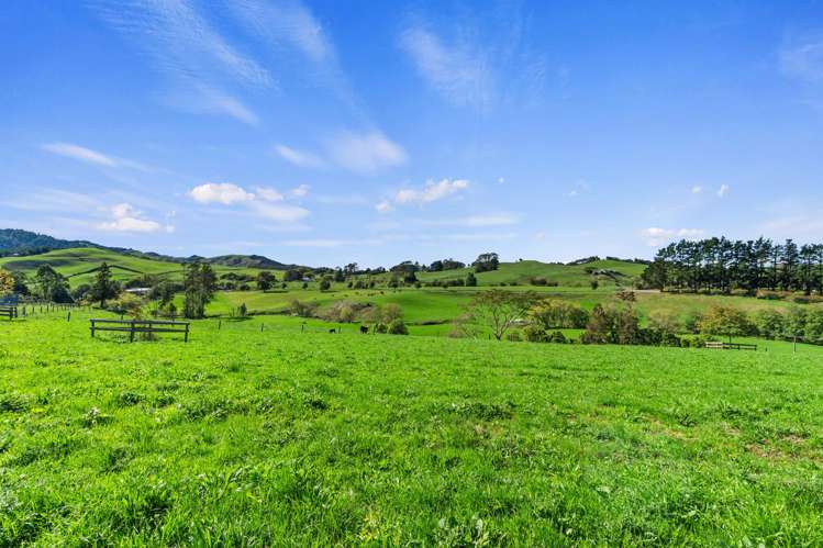 998 Limeworks Loop Road Te Pahu_32