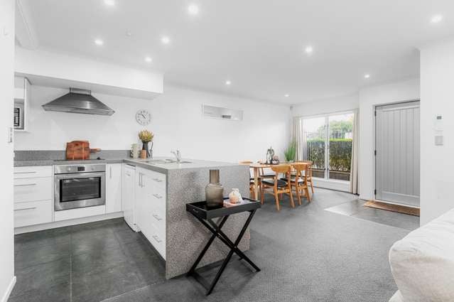 1b Charlemont Street Whitiora_1