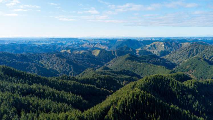 1304 Tokomaru East Road Brunswick_8