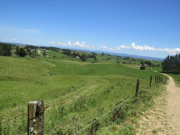 1392 Rangitoto Road Te Kuiti_11