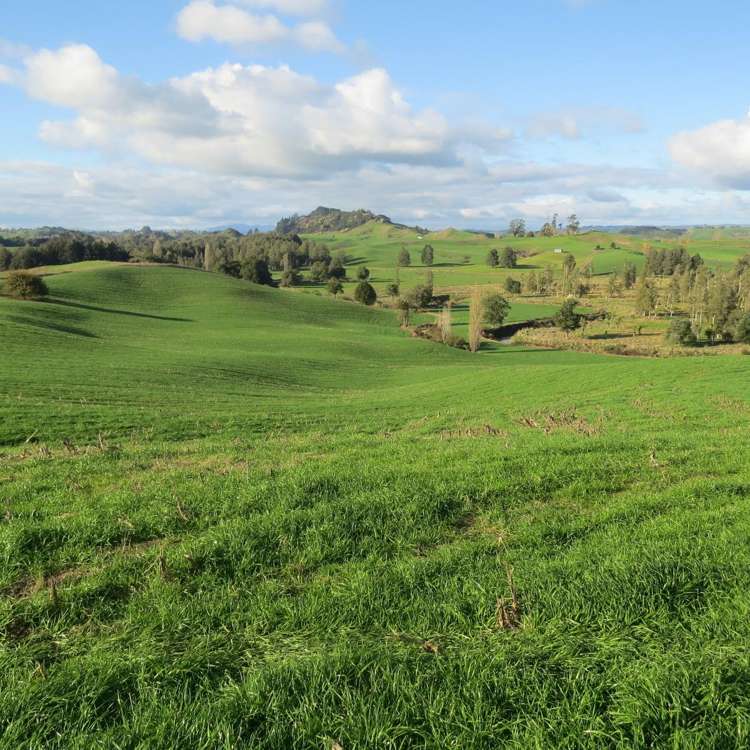 Waitomo Caves Road Waitomo_13