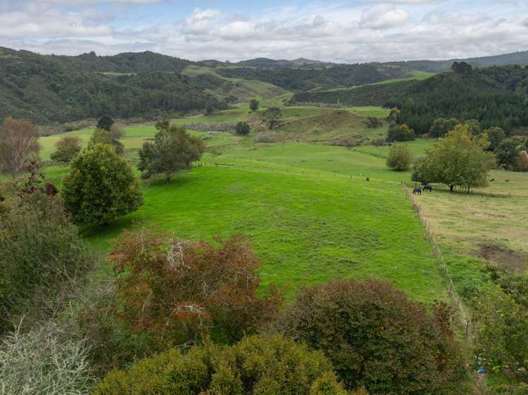 2/1745 Arapuni Road Te Awamutu_5