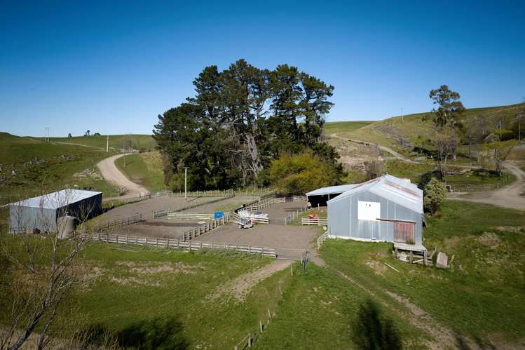 3429 Inland Kaikoura Road Mt Lyford_10