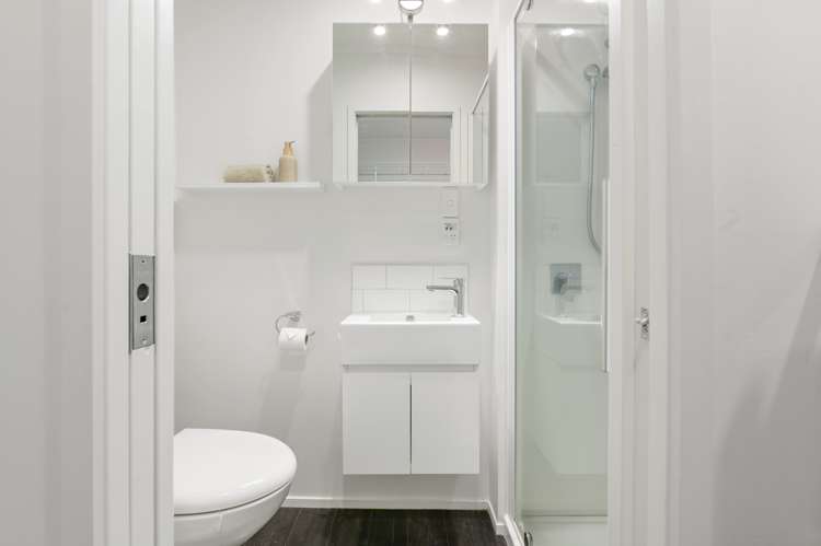 17 Maple Avenue Dinsdale_12