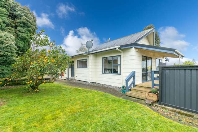 199 Ascot Place Te Awamutu_2