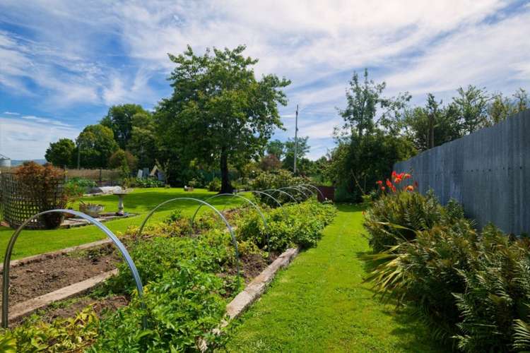 1235 Parnassus Road Ferniehurst_12