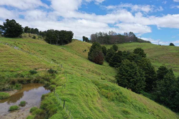 Lot 2/347 Porter Road Paparoa_23