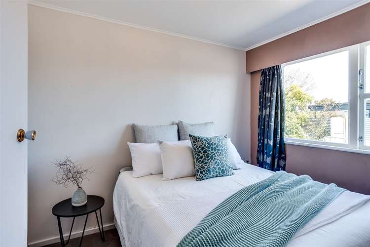 56 Alexander Avenue Onekawa_14