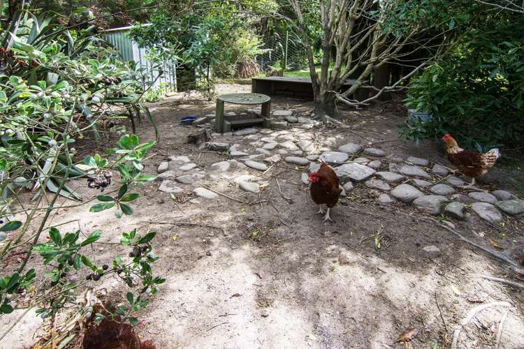 8 Mclaughlin Drive Tinui_19