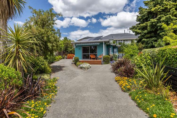 40 Campbell Street Havelock North_13