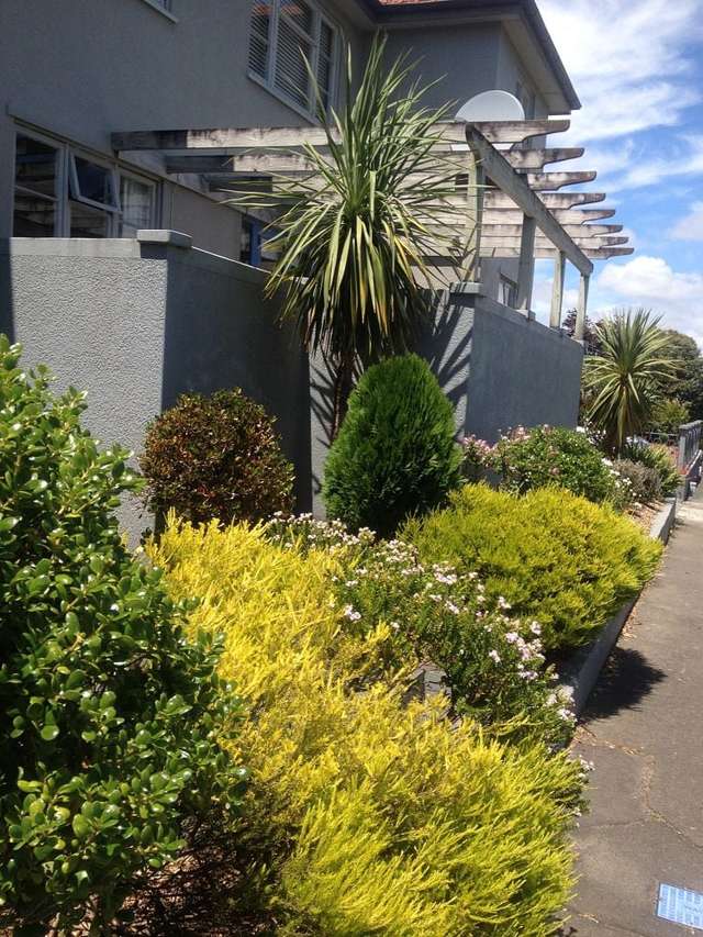 Fully furnished apartment near hospital