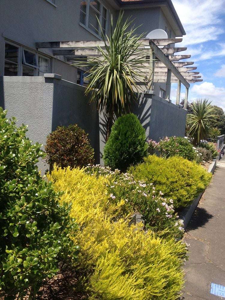 3/16 Freyberg Street_0