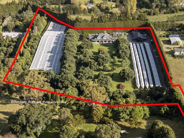 241 Rea Road Katikati_3