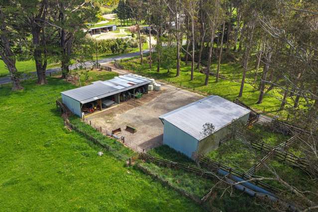 650 Ronga Road Rai Valley_3