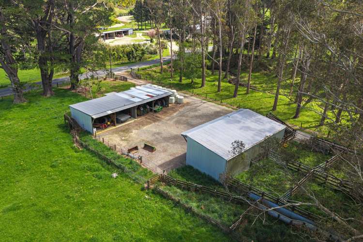 650 Ronga Road Rai Valley_3