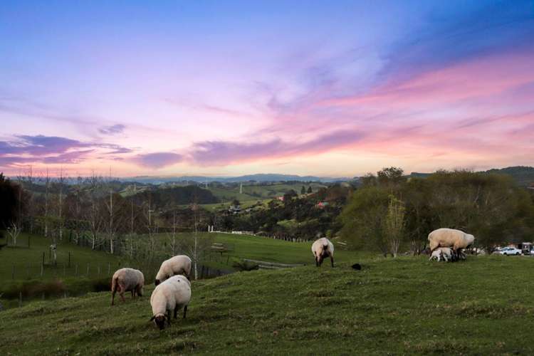 319a Wishart Road Helensville_30