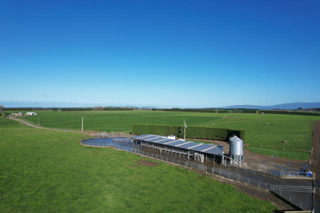 Productive dairy farm opportunity