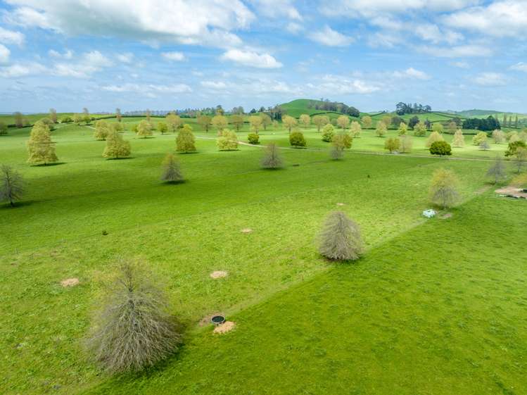 18 Pond Road Matamata_15