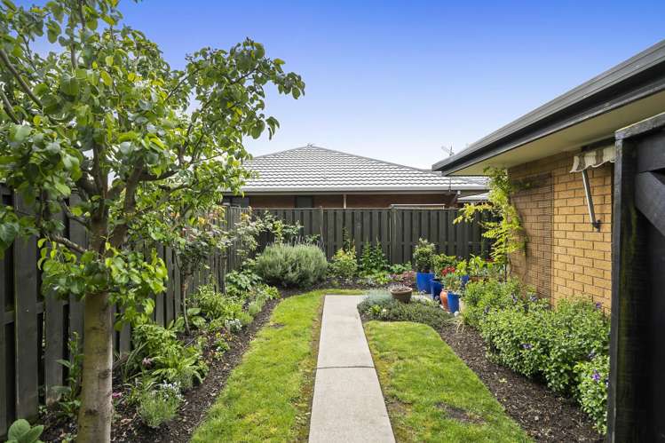 5 Villa Grove Ilam_23