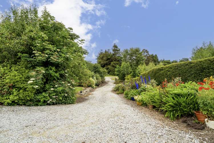 8 London Street Hampden_21