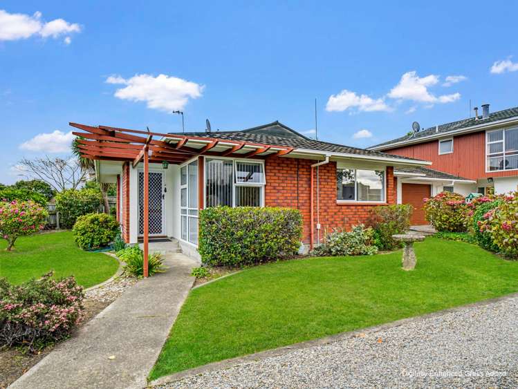 45 Dittmer Drive_4