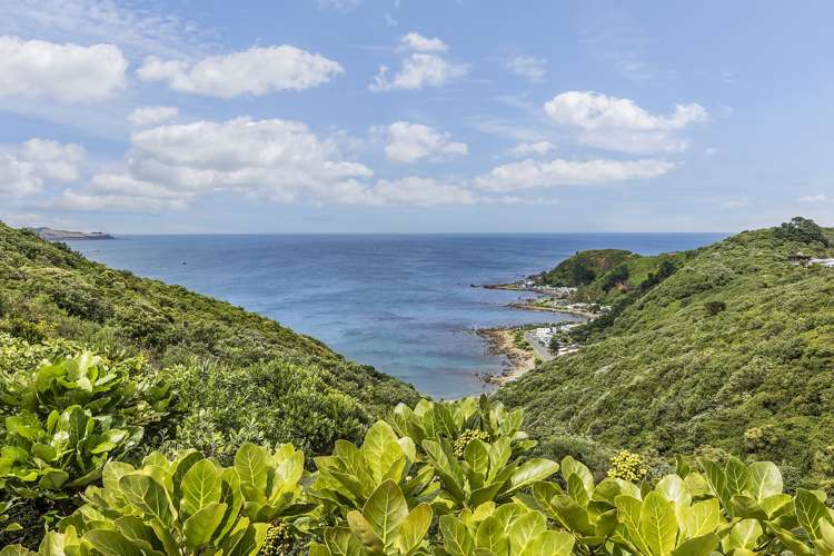 79 Beacon Hill Road Strathmore Park_28