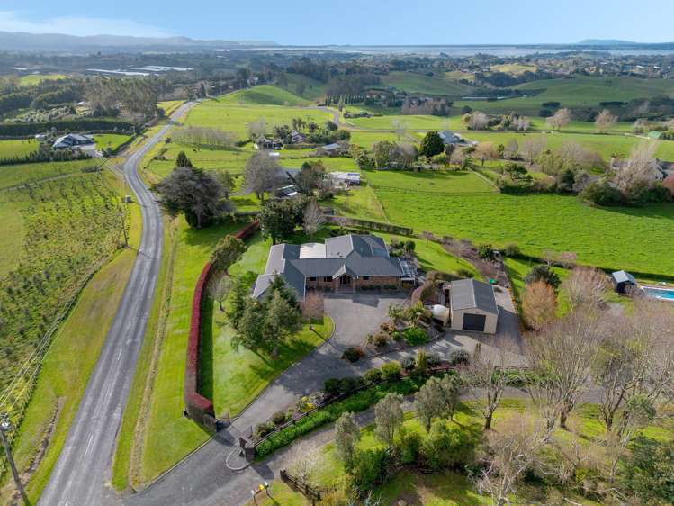 535 Esdaile Road Whakamarama_6