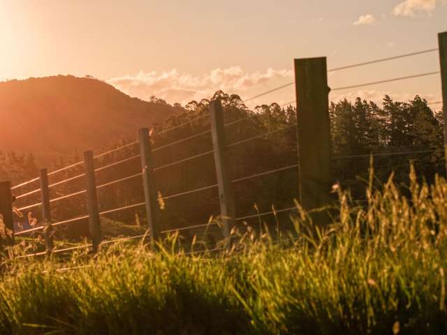 23 Edwin Road Karangahake_2