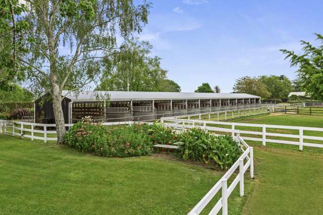 Racing Or Horticulture