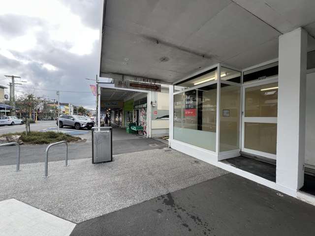 23 Bay Road Kilbirnie_3