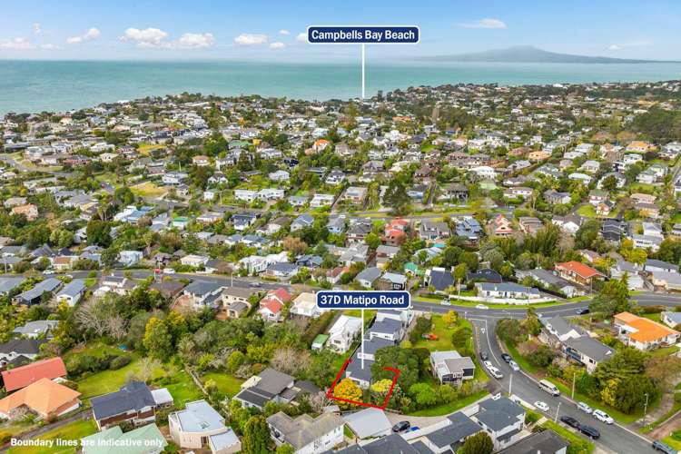 37d Matipo Road Mairangi Bay_15